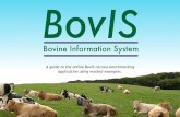 A guide to the online BovIS carcass benchmarking application ...