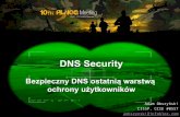 DNS Security - Proidea