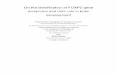 On the identification of FOXP2 gene enhancers and their role ...