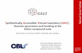 Synthetically Accessible Virtual Inventory (SAVI) :
