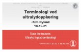 Terminologi ved ultralydopplæring - Helse Bergen
