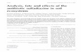 Analysis, fate and effects of the antibiotic sulfadiazine in soil ecosystems