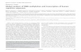 Global analysis of DNA methylation and transcription of human repetitive sequences