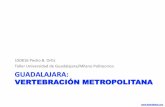 Guadalajara, Vertebración Metropolitana