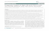 Prognostic impact of Skp2, ER and PGR in male and female patients with soft tissue sarcomas