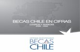Becas Chile en Cifras: 2008-2009