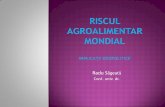 Riscul agroalimentar mondial. Implicatii geopolitice
