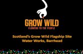 Mark Brand - Grow Wild