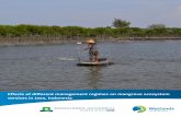 Effects of different management regimes on mangrove ...