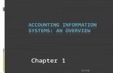 Accounting Information Systems An Overview