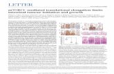 mTORC1-mediated translational elongation limits intestinal tumour initiation and growth