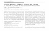 Linking Microbial Community Structure and Function to Seasonal Differences in Soil Moisture and Temperature in a Chihuahuan Desert Grassland