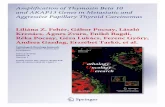 Amplification of Thymosin Beta 10 and AKAP13 Genes in Metastatic and Aggressive Papillary Thyroid Carcinomas