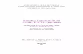 \"Rescate y Organización del Archivo Histórico Metodista\" (Montevideo: EUBCA, 2005, 141 p.)
