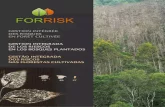 FORRISK : Gestion intégrée des risques en forêt, Gestion integrada de los riesgos en los bosques plantados, Gestão integrada dos riscos nas florestas cultivadas