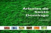 Arboles de Santo Domingo