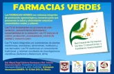 El concepto de farmacia verde y su importancia en los programas de salud