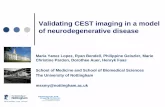 Validating CEST imaging in a model of neurodegenerative disease