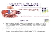 Anatomi & Fisiologi Sistem Pencernaan