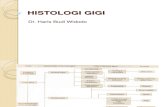 l1 Histologi Gigi-bds1 2014