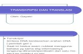 Transkripsi Dan Translasi