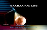 Gamma Ray Log cuy