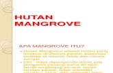 5. Mangrove