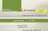 Urine Ver.sma