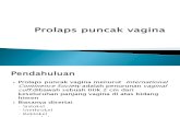 Prolaps Puncak Vagina