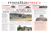 Media Pro 24