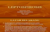 Leptospirosis coass