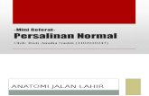 Persalinan Normal (Referat)