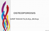 Osteoporosis 2011