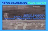 Media Informasi dan Komunikasi Perkumpulan Sawit SW/Tandan Sawit/TANDAN SAWIT...  perkebunan sawit