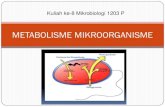 METABOLISME MIKROORGANISME ... PRINSIP METABOLISME Metabolisme dapat dibagi 2 komponen, yaitu: Anabolisme