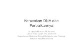 Kerusakan DNA dan Perbaikannya kunci â€¢ Mutasi pada DNA dapat timbul dari kesalah replikasi DNA, dari proses seluler non enzimatik, dan dari faktor lingkungan â€¢ Berbagai