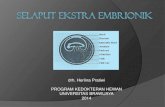 Slaput Extra Embrionik & Umbilical Cord