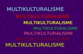 5. Multikulturalisme