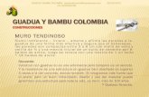 GUADUA Y BAMBU COLOMBIA .GUADUA Y BAMBU COLOMBIA CONSTRUCCIONES MURO TENDINOSO Sismo indiferente
