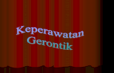 Gerontik 2