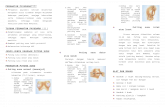 Leaflet breast care AKPER PEMKAB MUNA