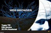 What is web browser