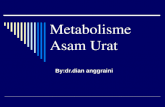 Metabolisme as.urat