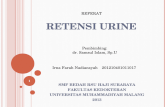 156302581 Retensi Urine