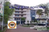 Forensic Identification Eka