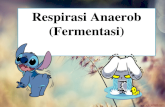 Respirasi Anaerob (Fermentasi).pptx