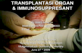 Transplantasi Organ Sawiji 2015