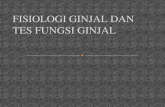 Review Faal Ginjal Dan Tes Fungsi Ginjal
