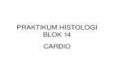 Praktikum Histo Cardio Blok 14