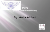 PKS ( patroli keamanan sekolah )